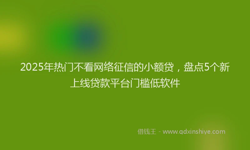 2025年热门不看网络征信的小额贷，盘点5个新上线贷款平台门槛低软件