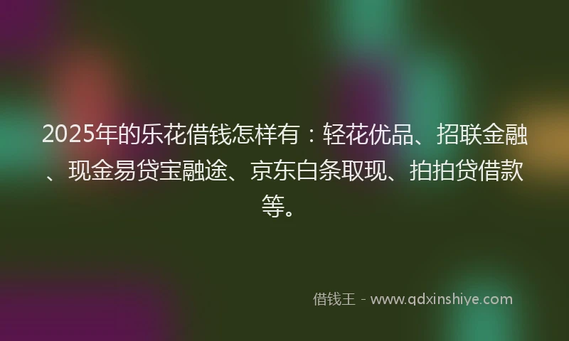 2025年的乐花借钱怎样有：轻花优品、招联金融、现金易贷宝融途、京东白条取现、拍拍贷借款等。