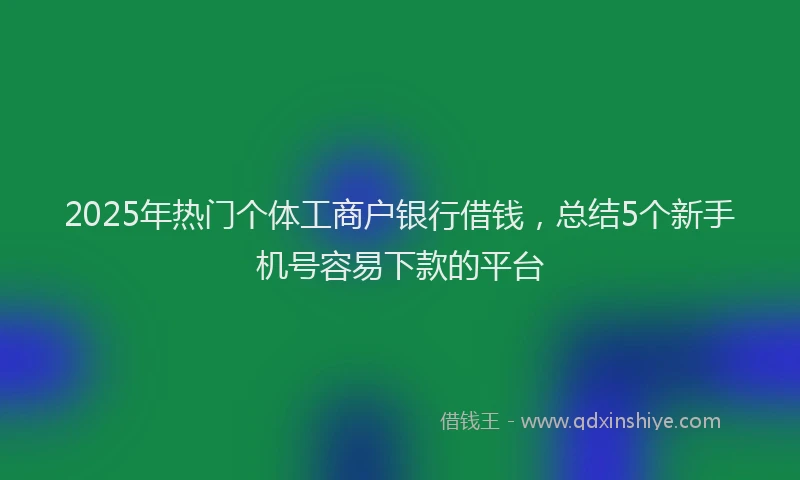 2025年热门个体工商户银行借钱，总结5个新手机号容易下款的平台