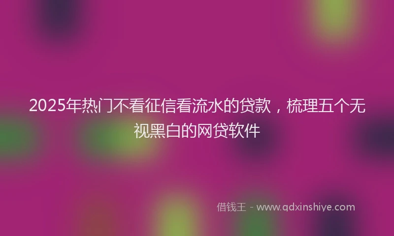 2025年热门不看征信看流水的贷款，梳理五个无视黑白的网贷软件