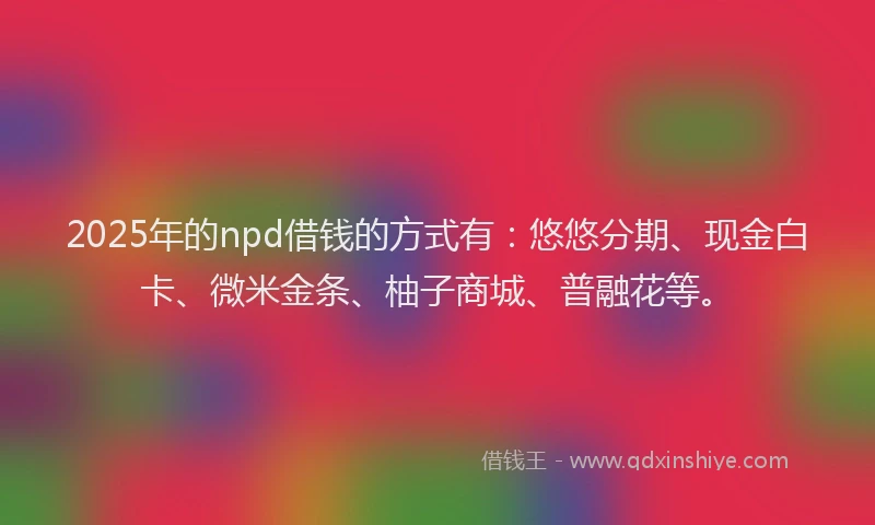 2025年的npd借钱的方式有：悠悠分期、现金白卡、微米金条、柚子商城、普融花等。
