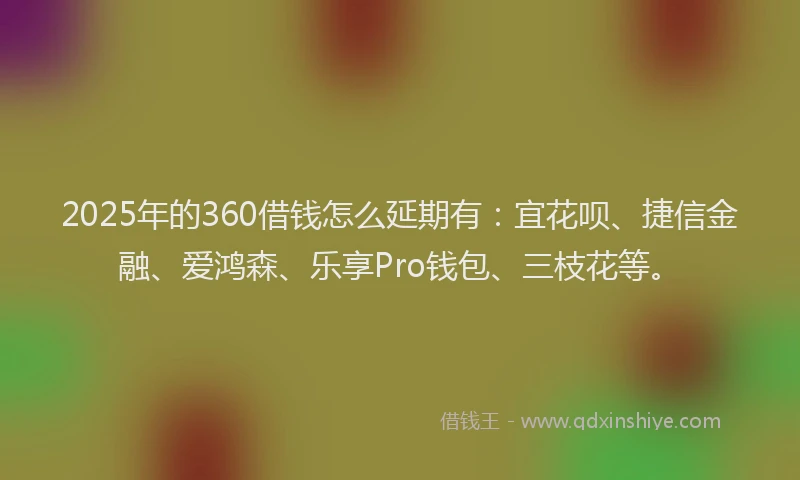 2025年的360借钱怎么延期有：宜花呗、捷信金融、爱鸿森、乐享Pro钱包、三枝花等。