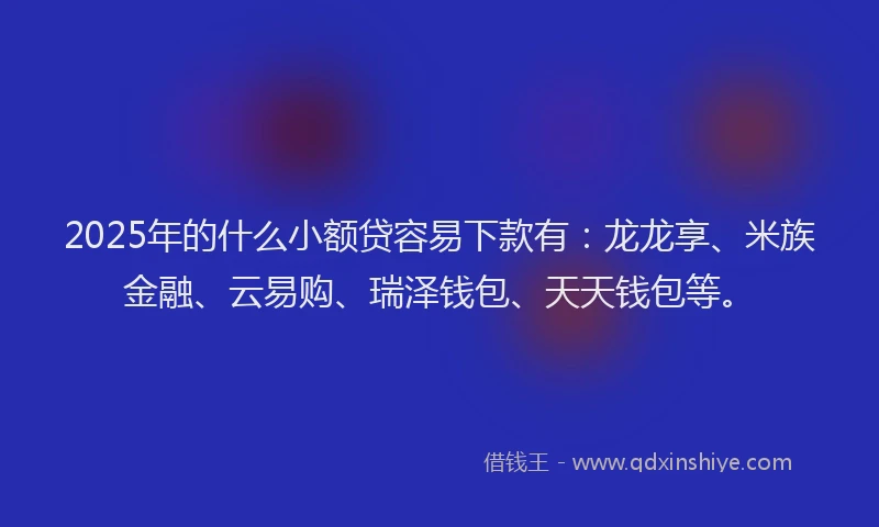 2025年的什么小额贷容易下款有：龙龙享、米族金融、云易购、瑞泽钱包、天天钱包等。