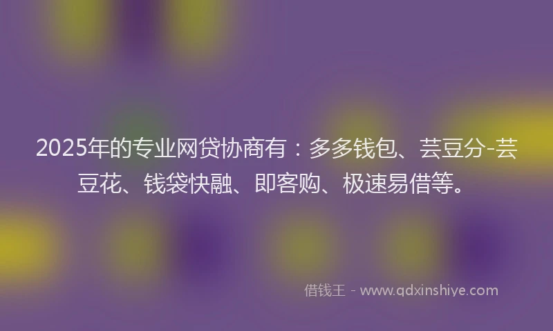 2025年的专业网贷协商有：多多钱包、芸豆分-芸豆花、钱袋快融、即客购、极速易借等。
