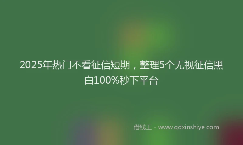2025年热门不看征信短期，整理5个无视征信黑白100%秒下平台
