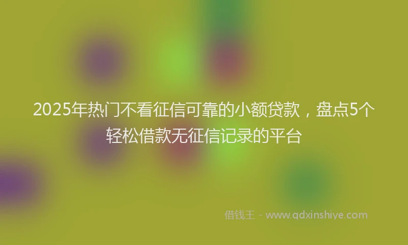 2025年热门不看征信可靠的小额贷款，盘点5个轻松借款无征信记录的平台