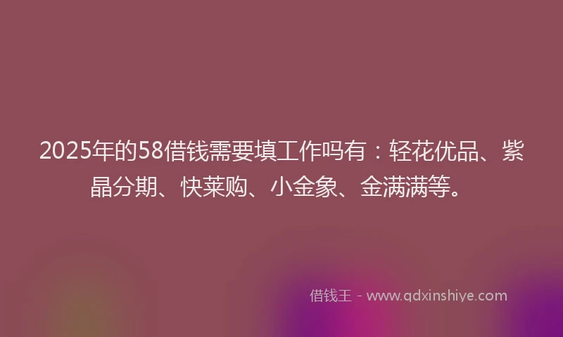 2025年的58借钱需要填工作吗有：轻花优品、紫晶分期、快莱购、小金象、金满满等。