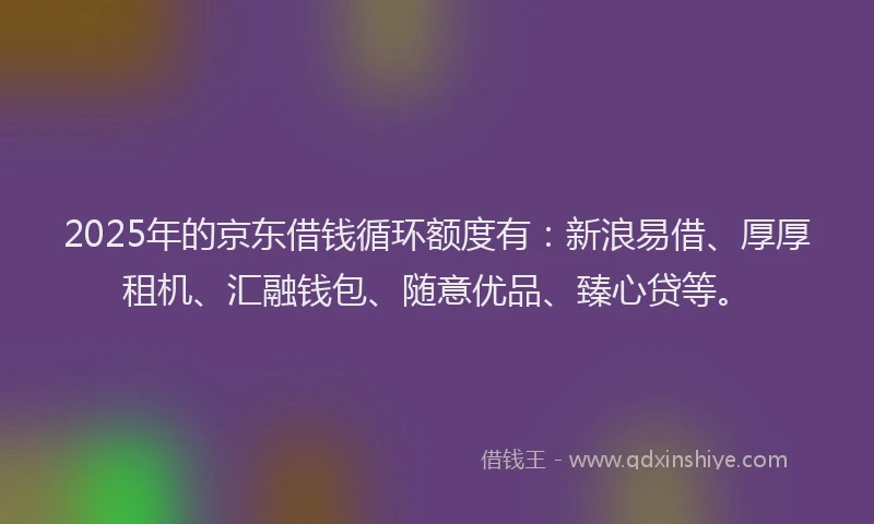 2025年的京东借钱循环额度有：新浪易借、厚厚租机、汇融钱包、随意优品、臻心贷等。