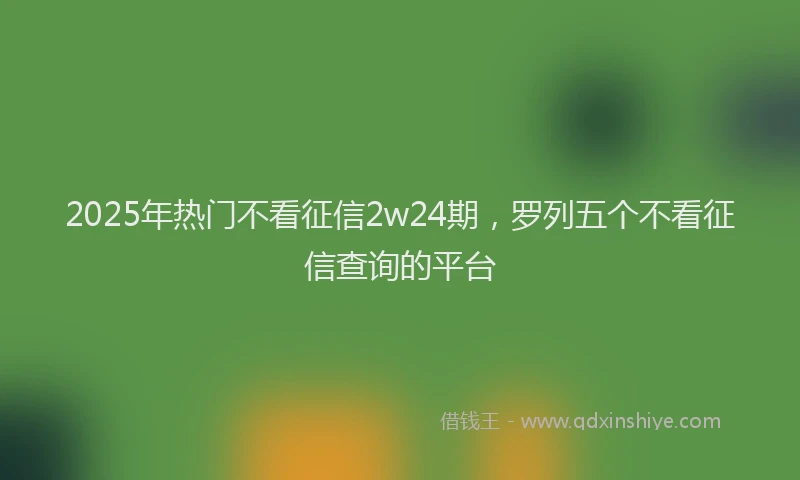2025年热门不看征信2w24期，罗列五个不看征信查询的平台