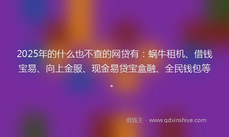 2025年的什么也不查的网贷有：蜗牛租机、借钱宝易、向上金服、现金易贷宝盒融、全民钱包等。