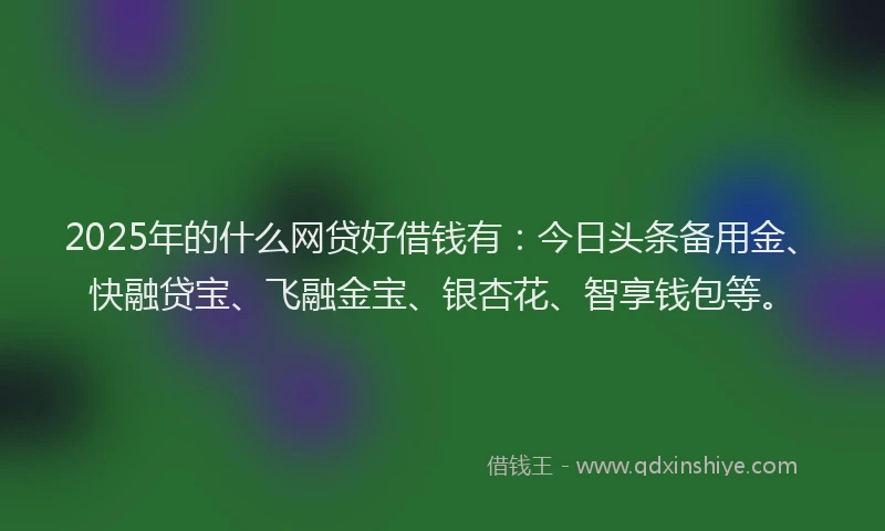 2025年的什么网贷好借钱有：今日头条备用金、快融贷宝、飞融金宝、银杏花、智享钱包等。