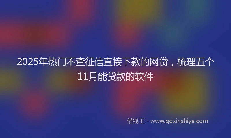 2025年热门不查征信直接下款的网贷，梳理五个11月能贷款的软件