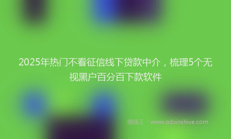 2025年热门不看征信线下贷款中介，梳理5个无视黑户百分百下款软件