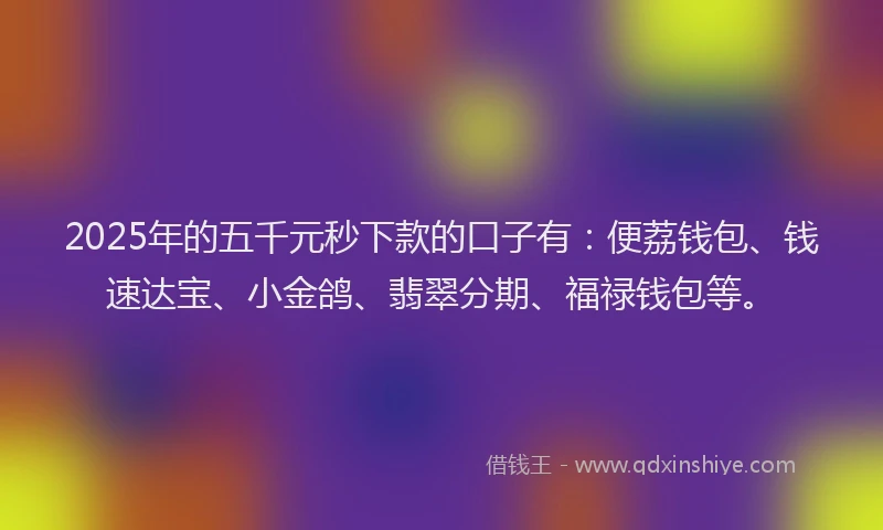 2025年的五千元秒下款的口子有：便荔钱包、钱速达宝、小金鸽、翡翠分期、福禄钱包等。