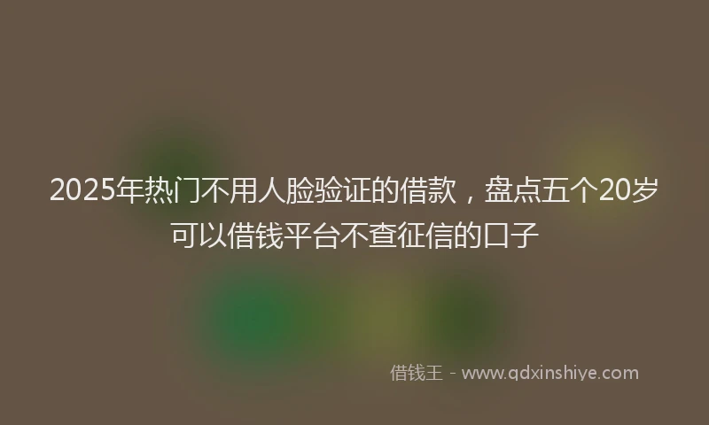 2025年热门不用人脸验证的借款，盘点五个20岁可以借钱平台不查征信的口子