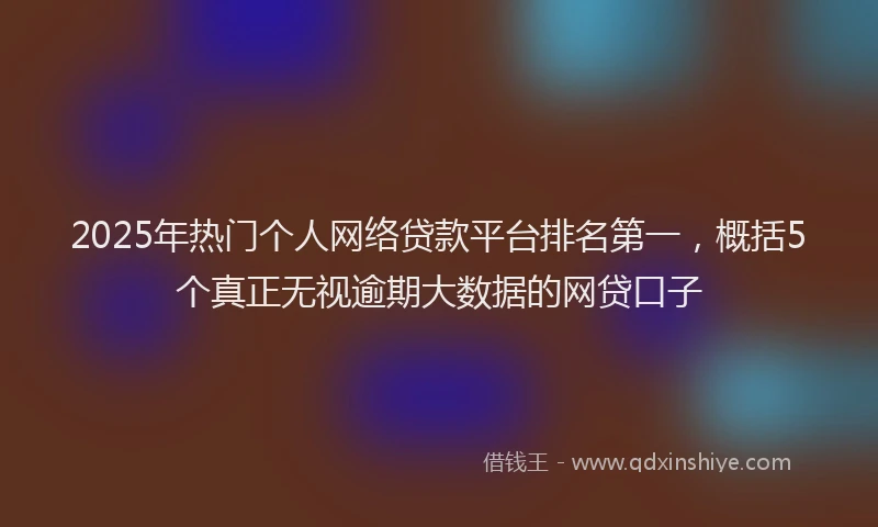 2025年热门个人网络贷款平台排名第一，概括5个真正无视逾期大数据的网贷口子