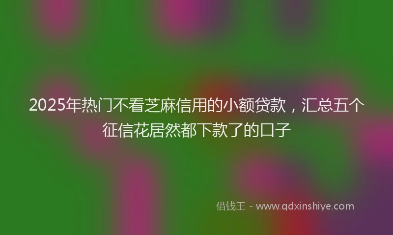 2025年热门不看芝麻信用的小额贷款，汇总五个征信花居然都下款了的口子