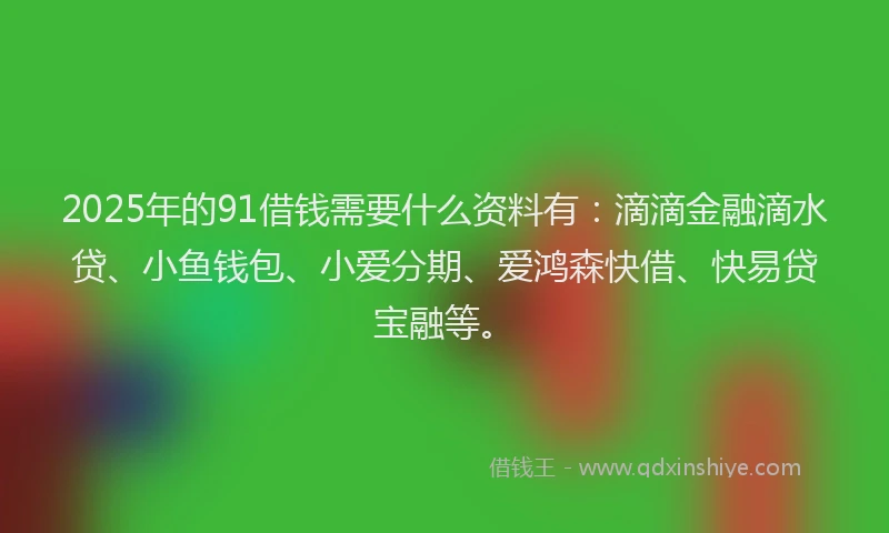 2025年的91借钱需要什么资料有：滴滴金融滴水贷、小鱼钱包、小爱分期、爱鸿森快借、快易贷宝融等。