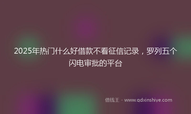 2025年热门什么好借款不看征信记录，罗列五个闪电审批的平台