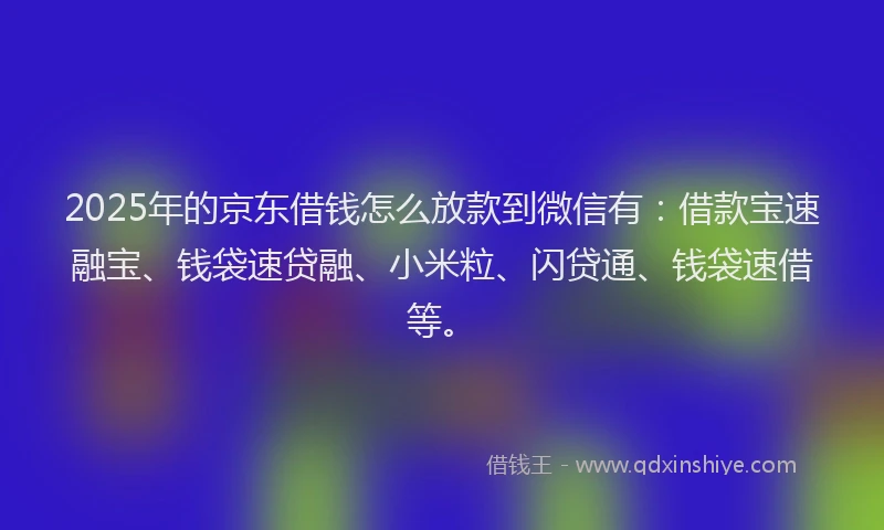 2025年的京东借钱怎么放款到微信有：借款宝速融宝、钱袋速贷融、小米粒、闪贷通、钱袋速借等。