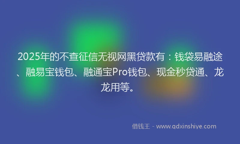2025年的不查征信无视网黑贷款有：钱袋易融途、融易宝钱包、融通宝Pro钱包、现金秒贷通、龙龙用等。
