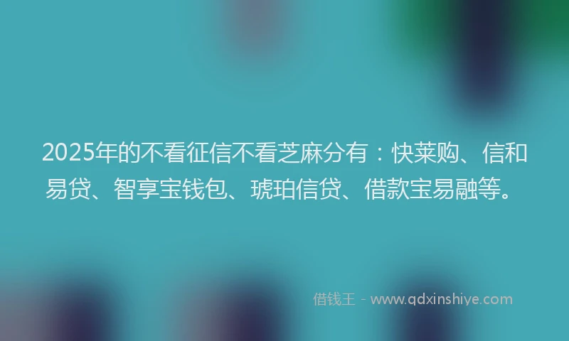 2025年的不看征信不看芝麻分有：快莱购、信和易贷、智享宝钱包、琥珀信贷、借款宝易融等。