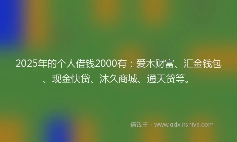 2025年的个人借钱2000有：爱木财富、汇金钱包、现金快贷、沐久商城、通天贷等。