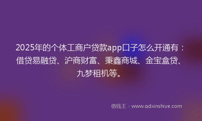 2025年的个体工商户贷款app口子怎么开通有：借贷易融贷、沪商财富、秉鑫商城、金宝盒贷、九梦租机等。
