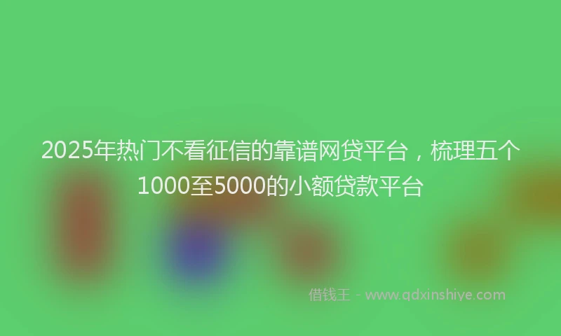 2025年热门不看征信的靠谱网贷平台，梳理五个1000至5000的小额贷款平台