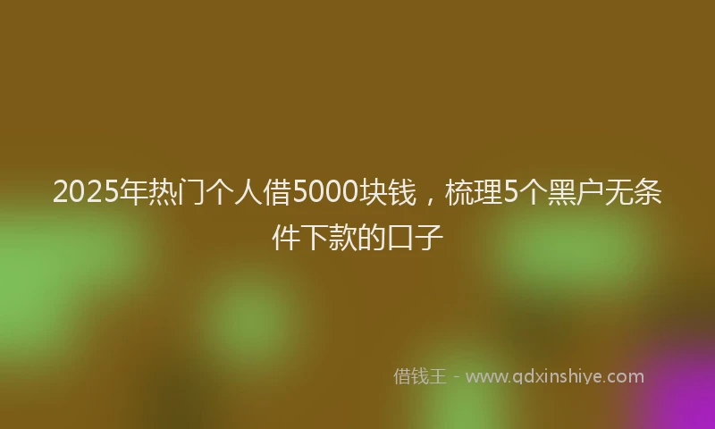 2025年热门个人借5000块钱，梳理5个黑户无条件下款的口子