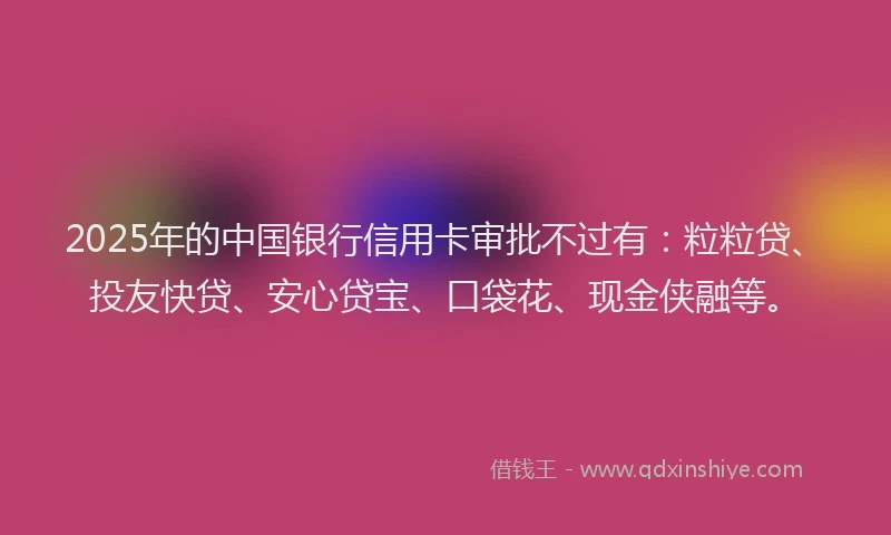 2025年的中国银行信用卡审批不过有：粒粒贷、投友快贷、安心贷宝、口袋花、现金侠融等。