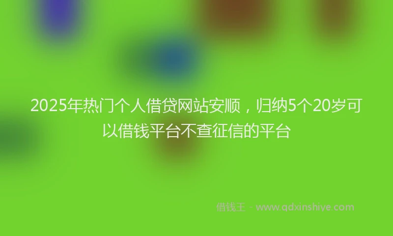 2025年热门个人借贷网站安顺，归纳5个20岁可以借钱平台不查征信的平台
