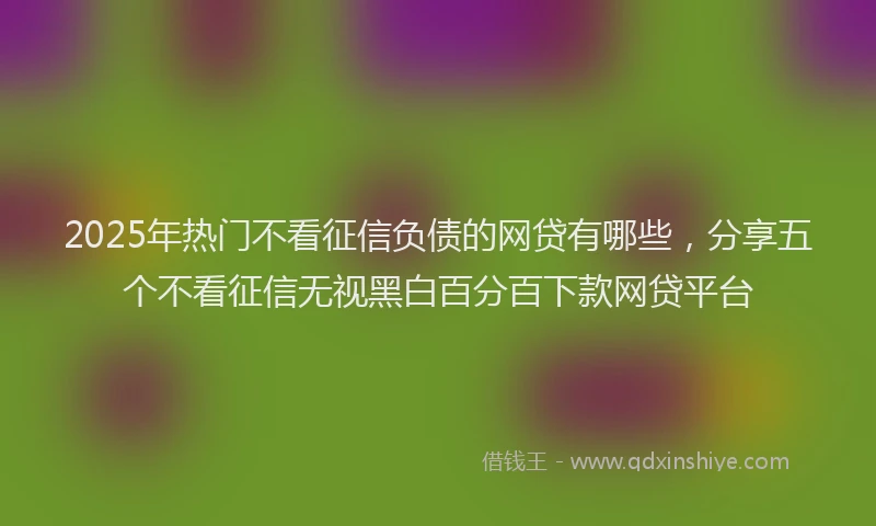 2025年热门不看征信负债的网贷有哪些，分享五个不看征信无视黑白百分百下款网贷平台