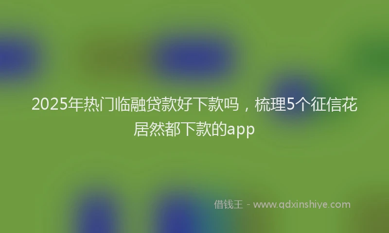 2025年热门临融贷款好下款吗，梳理5个征信花居然都下款的app