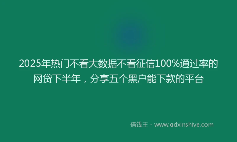 2025年热门不看大数据不看征信100%通过率的网贷下半年，分享五个黑户能下款的平台
