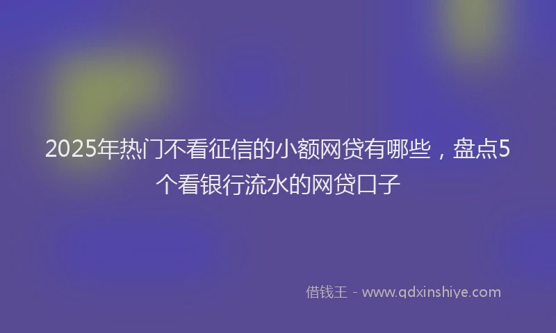2025年热门不看征信的小额网贷有哪些，盘点5个看银行流水的网贷口子