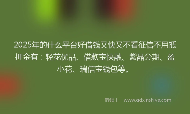2025年的什么平台好借钱又快又不看征信不用抵押金有：轻花优品、借款宝快融、紫晶分期、盈小花、瑞信宝钱包等。