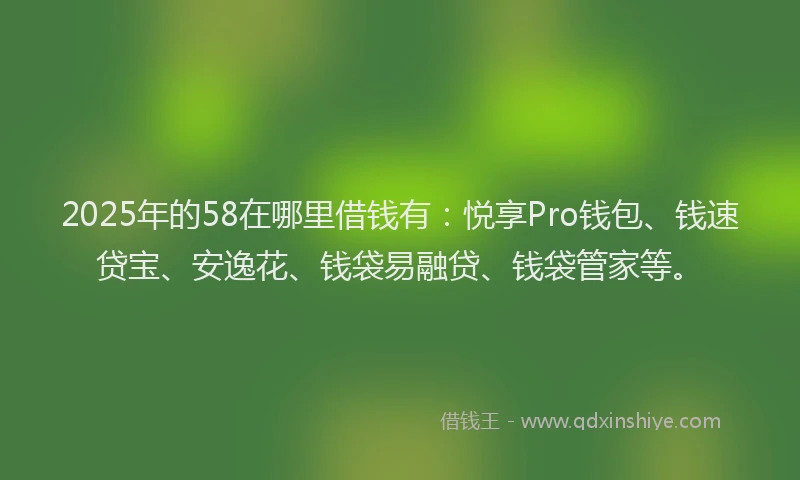 2025年的58在哪里借钱有：悦享Pro钱包、钱速贷宝、安逸花、钱袋易融贷、钱袋管家等。