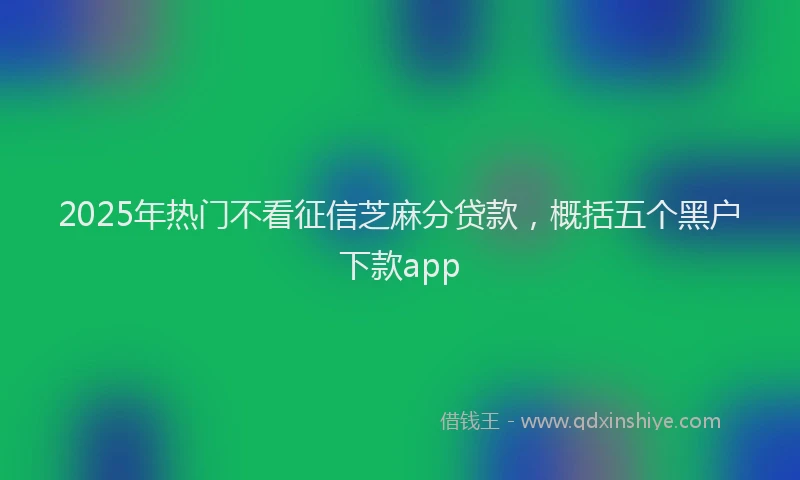 2025年热门不看征信芝麻分贷款，概括五个黑户下款app