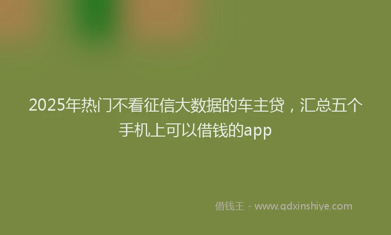 2025年热门不看征信大数据的车主贷，汇总五个手机上可以借钱的app