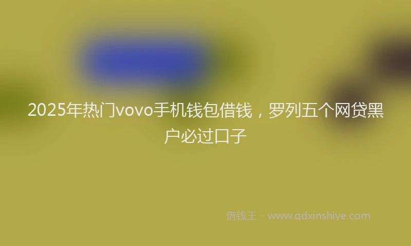 2025年热门vovo手机钱包借钱，罗列五个网贷黑户必过口子