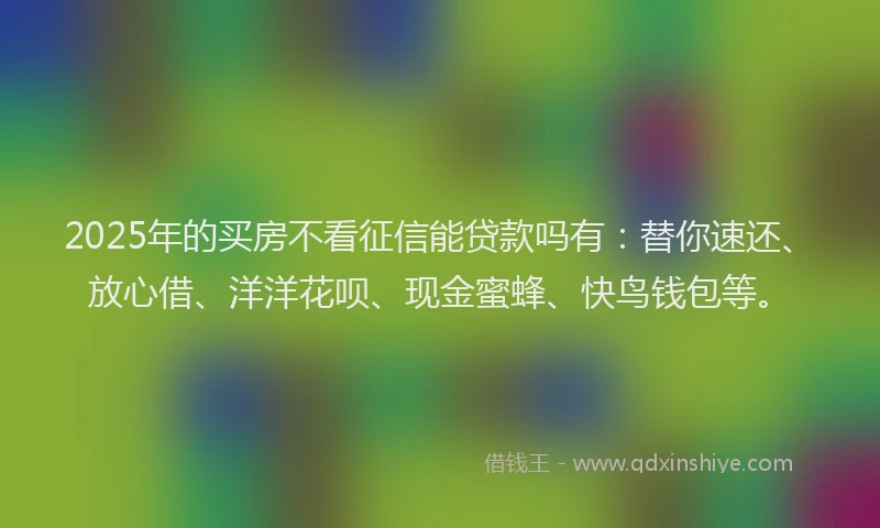 2025年的买房不看征信能贷款吗有：替你速还、放心借、洋洋花呗、现金蜜蜂、快鸟钱包等。