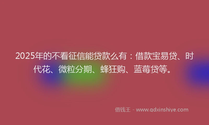 2025年的不看征信能贷款么有：借款宝易贷、时代花、微粒分期、蜂狂购、蓝莓贷等。