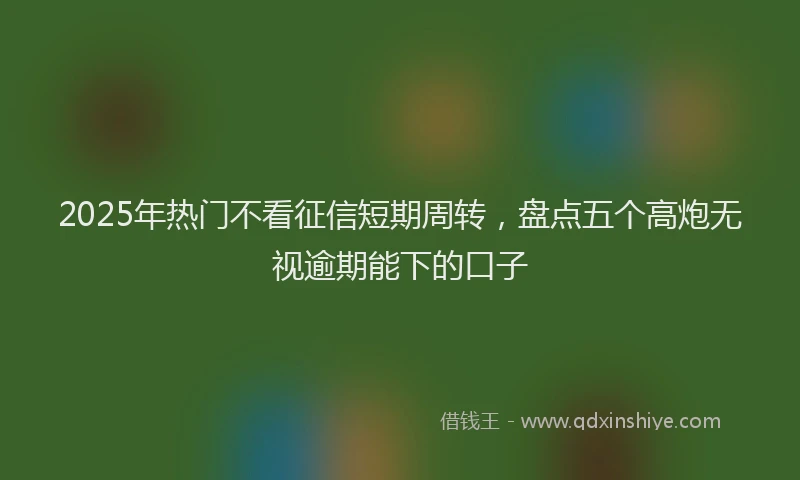 2025年热门不看征信短期周转，盘点五个高炮无视逾期能下的口子