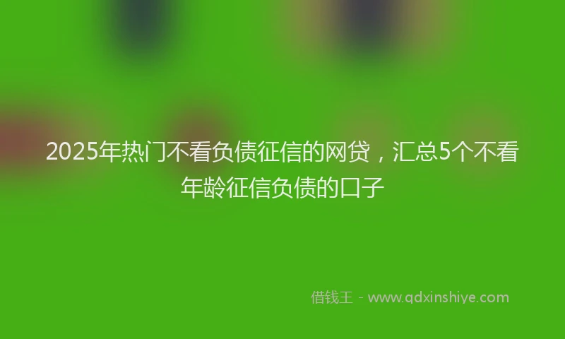 2025年热门不看负债征信的网贷，汇总5个不看年龄征信负债的口子