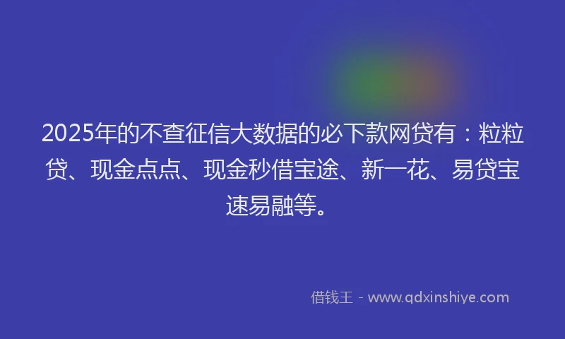 2025年的不查征信大数据的必下款网贷有：粒粒贷、现金点点、现金秒借宝途、新一花、易贷宝速易融等。