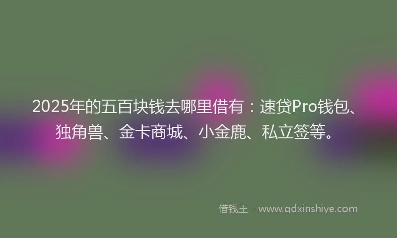 2025年的五百块钱去哪里借有：速贷Pro钱包、独角兽、金卡商城、小金鹿、私立签等。