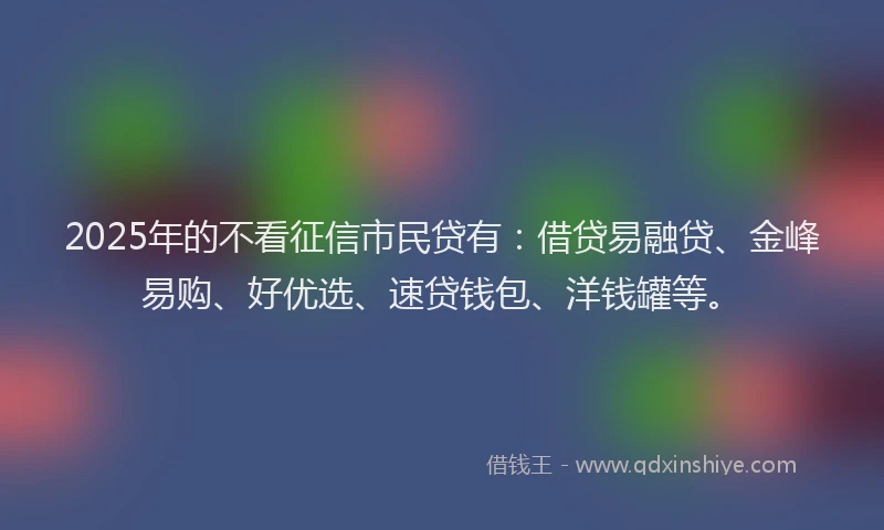 2025年的不看征信市民贷有：借贷易融贷、金峰易购、好优选、速贷钱包、洋钱罐等。