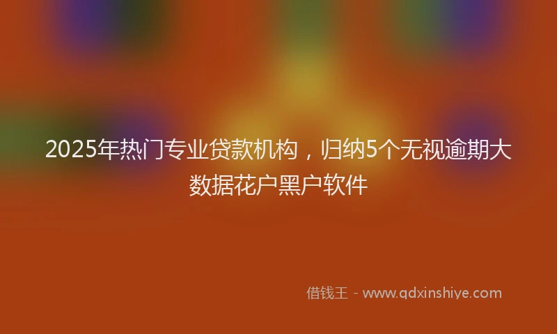 2025年热门专业贷款机构，归纳5个无视逾期大数据花户黑户软件