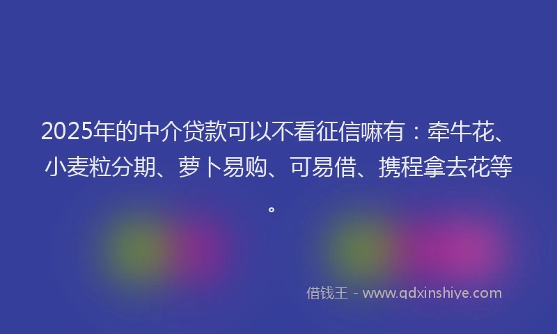 2025年的中介贷款可以不看征信嘛有：牵牛花、小麦粒分期、萝卜易购、可易借、携程拿去花等。